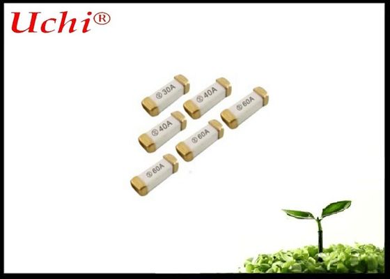 เฟยส์เซรามิกที่ทํางานเร็ว 2A 250V